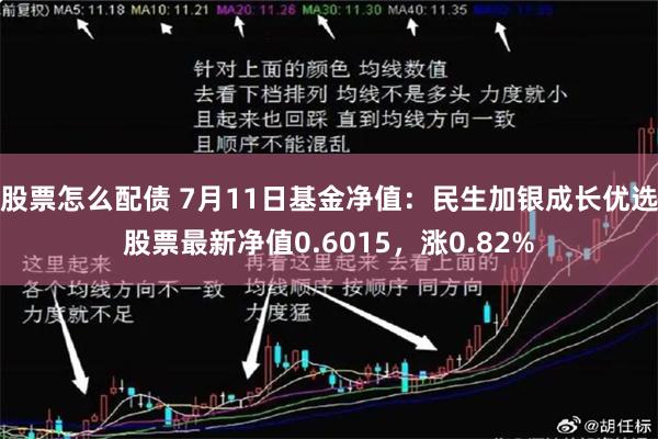 股票怎么配债 7月11日基金净值：民生加银成长优选股票最新净值0.6015，涨0.82%