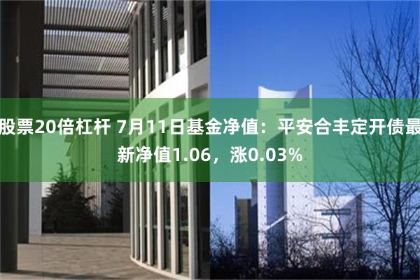 股票20倍杠杆 7月11日基金净值：平安合丰定开债最新净值1.06，涨0.03%