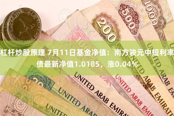 杠杆炒股原理 7月11日基金净值：南方骏元中短利率债最新净值1.0185，涨0.04%