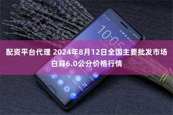 配资平台代理 2024年8月12日全国主要批发市场白蒜6.0公分价格行情