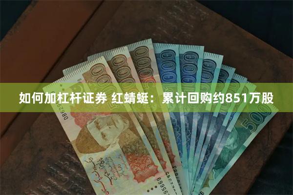 如何加杠杆证券 红蜻蜓：累计回购约851万股