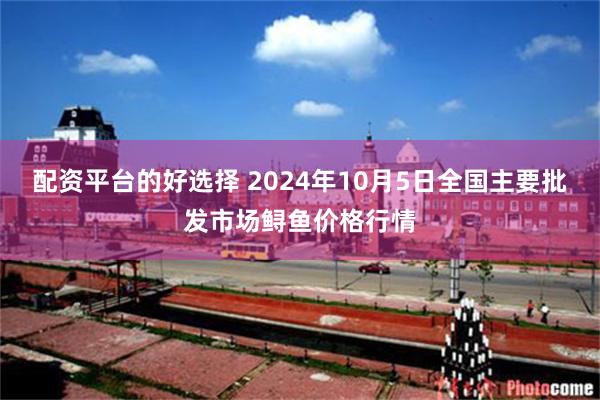 配资平台的好选择 2024年10月5日全国主要批发市场鲟鱼价格行情