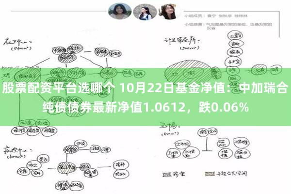 股票配资平台选哪个 10月22日基金净值：中加瑞合纯债债券最新净值1.0612，跌0.06%