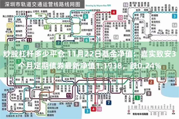 炒股杠杆多少平仓 11月22日基金净值：嘉实致安3个月定期债券最新净值1.1938，跌0.24%