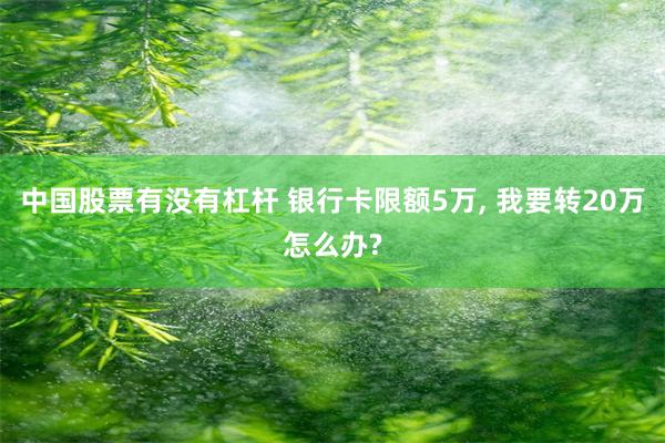 中国股票有没有杠杆 银行卡限额5万, 我要转20万怎么办?