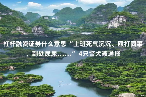 杠杆融资证券什么意思 “上班死气沉沉、殴打同事、到处尿尿……” 4只警犬被通报