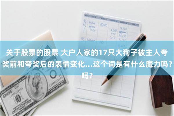 关于股票的股票 大户人家的17只大狗子被主人夸奖前和夸奖后的表情变化...这个词是有什么魔力吗？